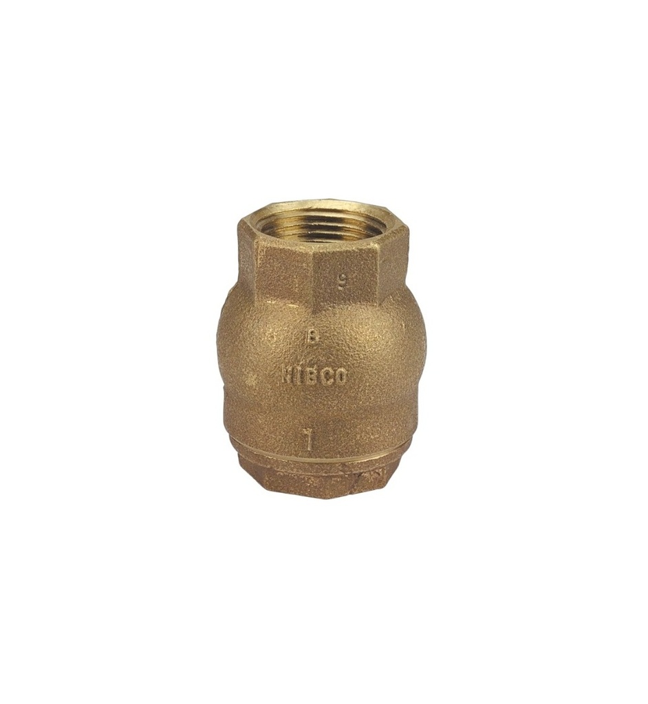 VALVULA DE RETENCIÓN DE ANILLO T480 DE 2"