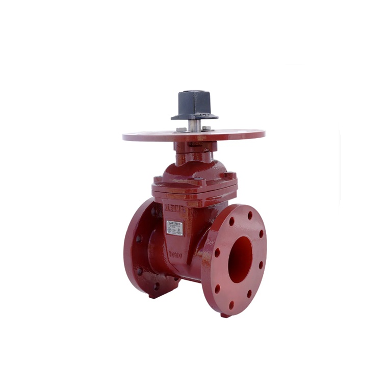 VALVULA COMPUERTA DE 12" BRIDA 300 psi