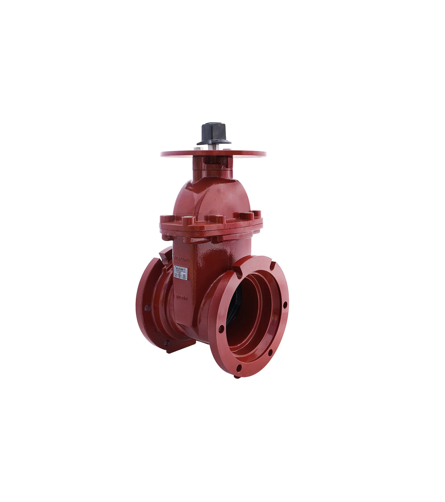 VALVULA DE COMPUERTA DE 10" DE 300PSI FLA by MJ NRS 