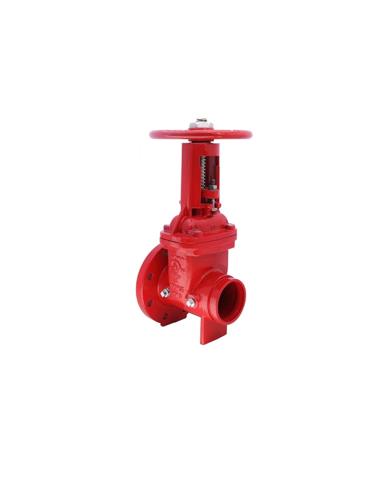 VALVULA DE COMPUERTA OS&Y DE 4", 300 PSI FXG