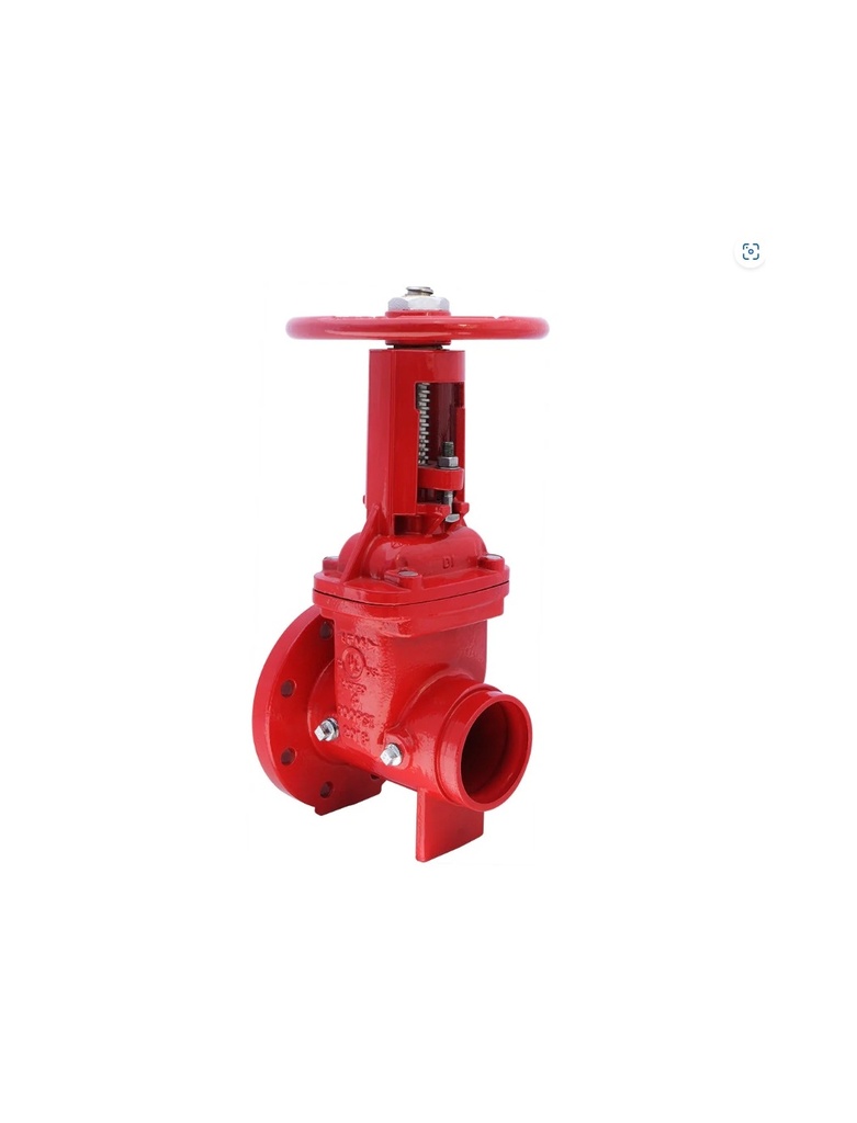 VALVULA DE COMPUERTA OS&Y DE 10", 300PSI, F X G