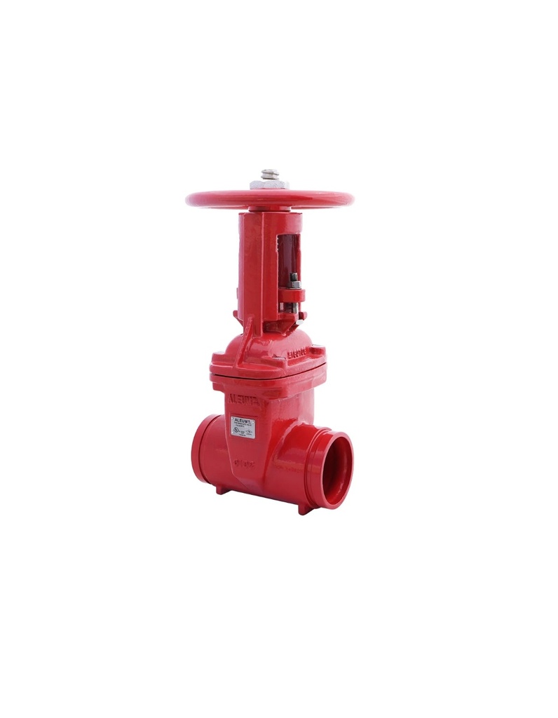 VALVULA DE COMPUERTA OS&Y DE 10", 300 PSI RANURA