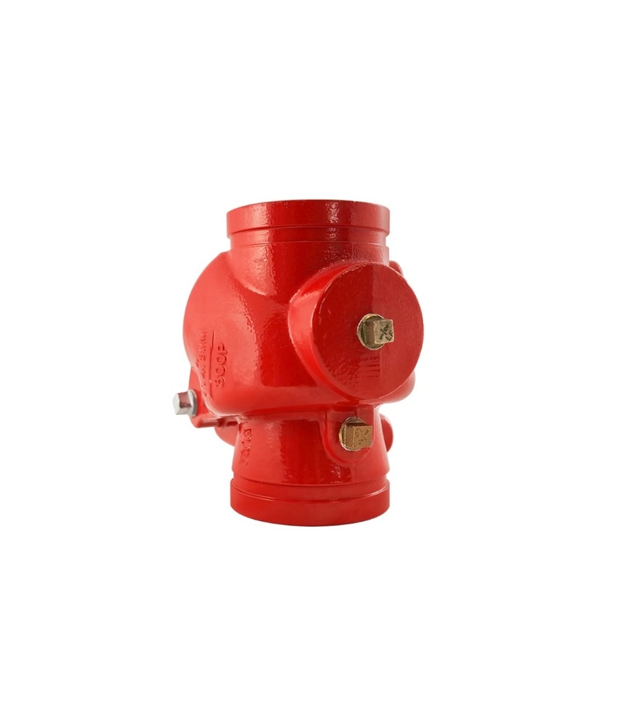 VALVULA DE RETENCIÓN DE 2", GRVD, UL/FM