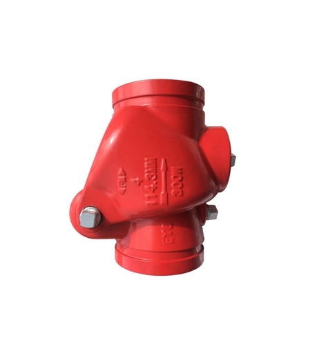 [10RCR] VALVULA RISER CHECK, DE 10" RANURADO G ROJA