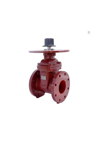 [ALNRS3-FF-060] VALVULA DE COMPUERTA DE 6" NRS