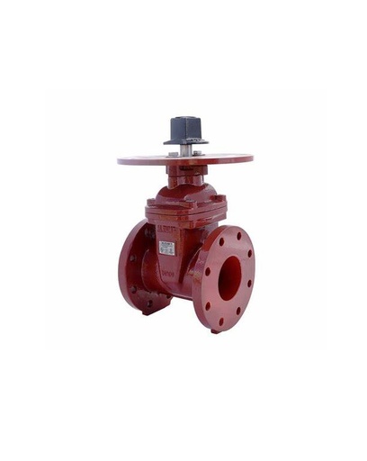 [ANRS3-FF-040] VALVULA DE COMPUERTA NRS DE 4", 300PSI BRIDA