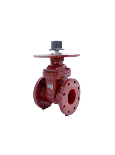 [ANRS3-FF-060] VALVULA DE COMPUERTA NRS 6" FL 300 PSI