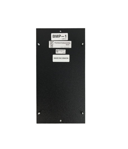 [BMP-1] PLACA DE VESTIR MODULO EN BLANCO, USADA